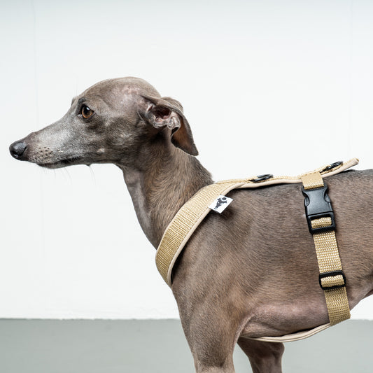 SOFTSHELL HUNDEGESCHIRR Iggy Beige