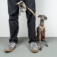 Load image into Gallery viewer, SOFTSHELL HUNDEGESCHIRR Iggy Sand
