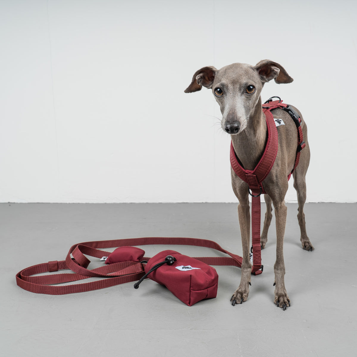 Crossbody Leine Weinrot