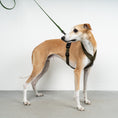 Load image into Gallery viewer, SOFTSHELL DOGHARNESS Sighthound Dark Olive
