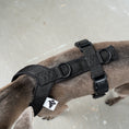 Load image into Gallery viewer, SOFTSHELL HUNDEGESCHIRR Iggy Schwarz
