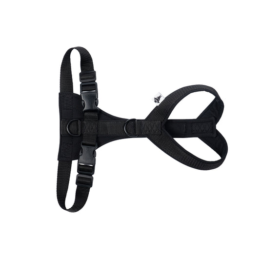 SOFTSHELL HUNDEGESCHIRR Windhund Schwarz