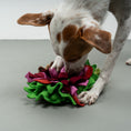 Load image into Gallery viewer, Schnüffelspielzeug Berliner Döner
