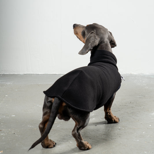 SWEAT SHIRT Dachshund Black