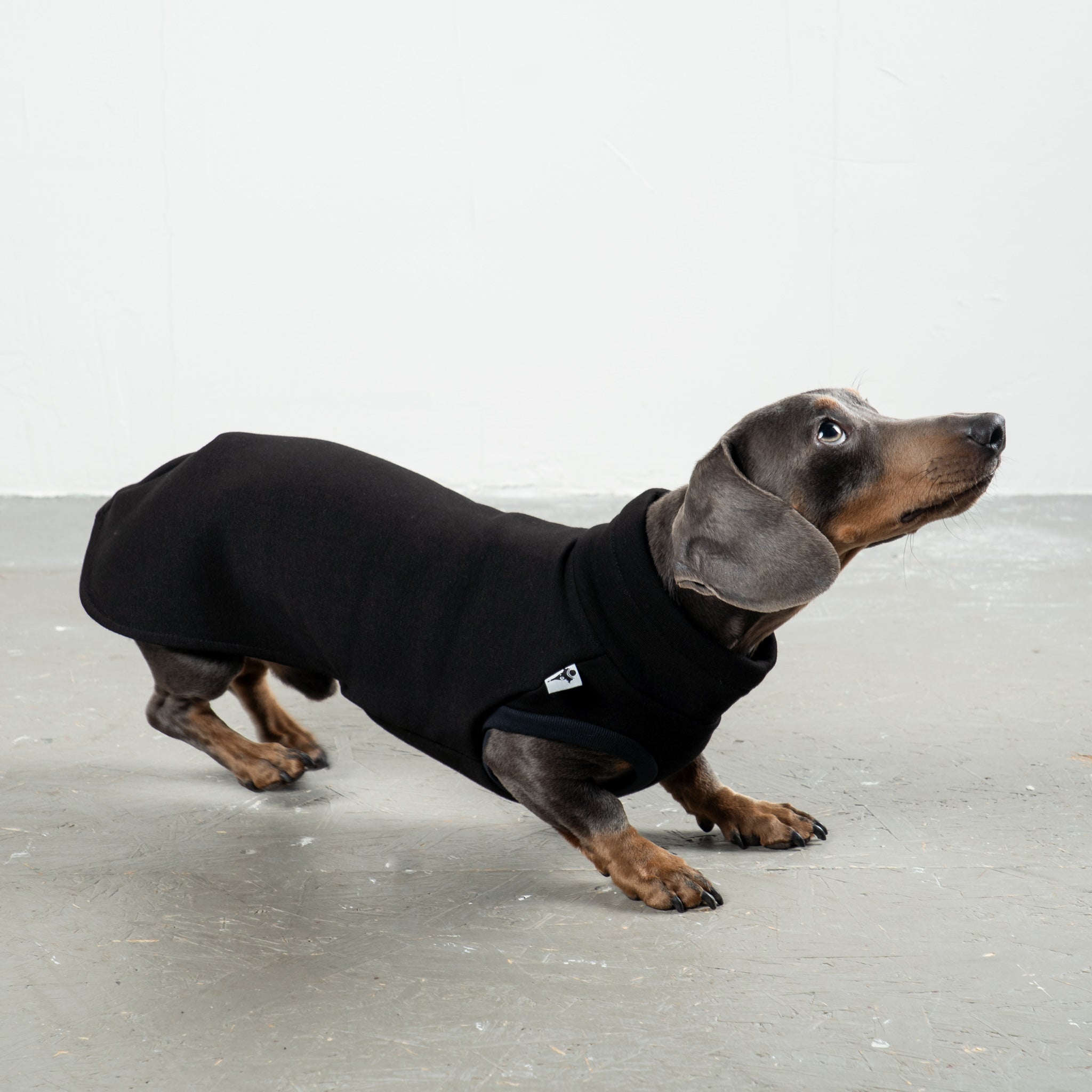 SWEAT SHIRT Dachshund Black