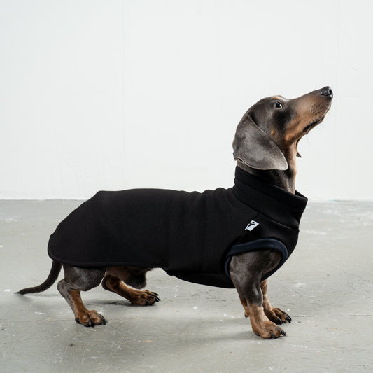 SWEAT SHIRT Dachshund Black