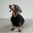 Load image into Gallery viewer, SWEAT SHIRT Dachshund Black
