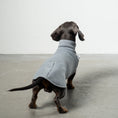 Load image into Gallery viewer, SWEAT SHIRT Dachshund Grey Melange
