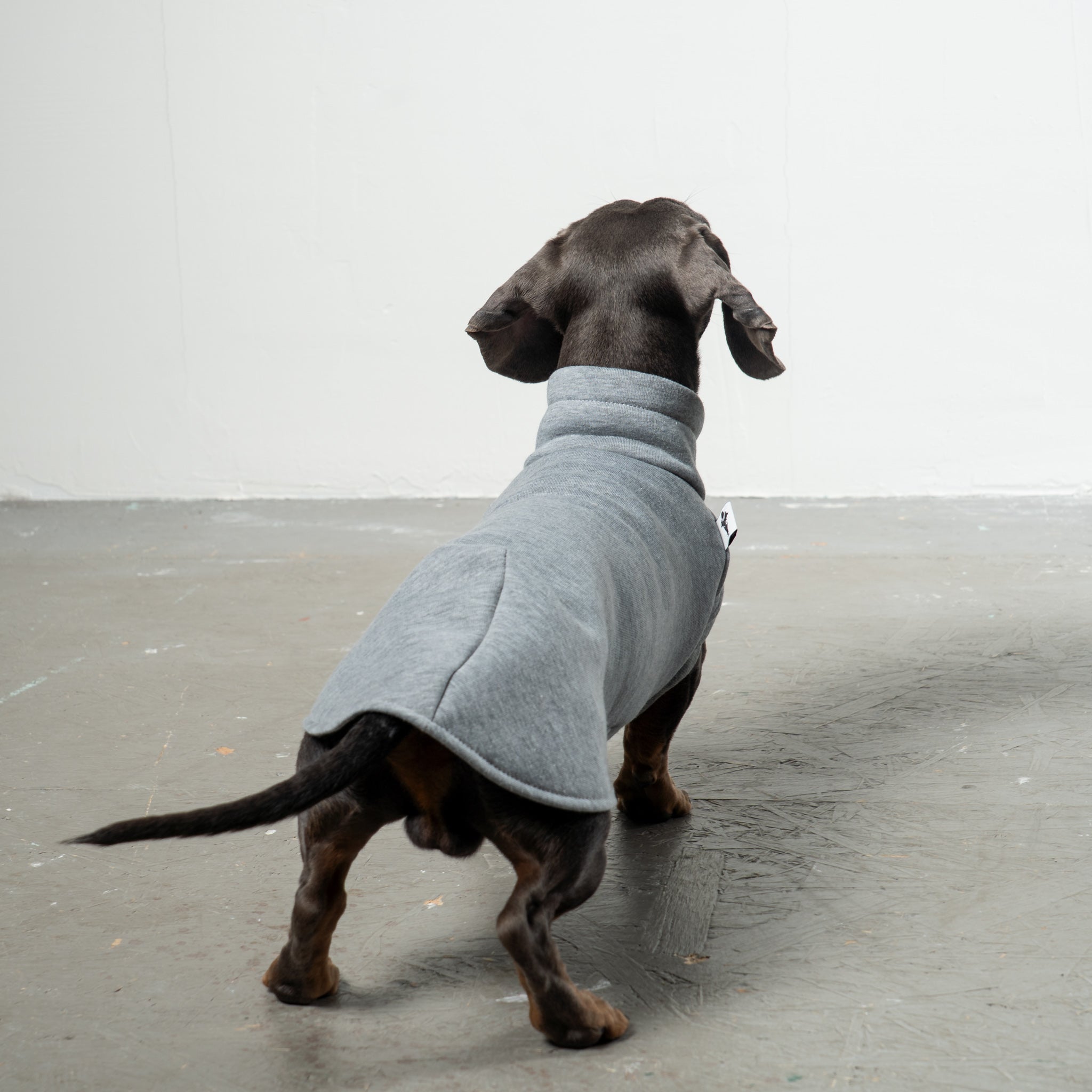 SWEAT SHIRT Dachshund Grey Melange