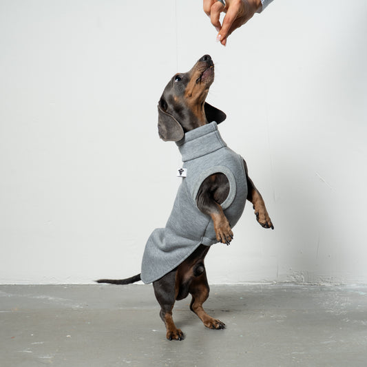 SWEAT SHIRT Dachshund Grey Melange