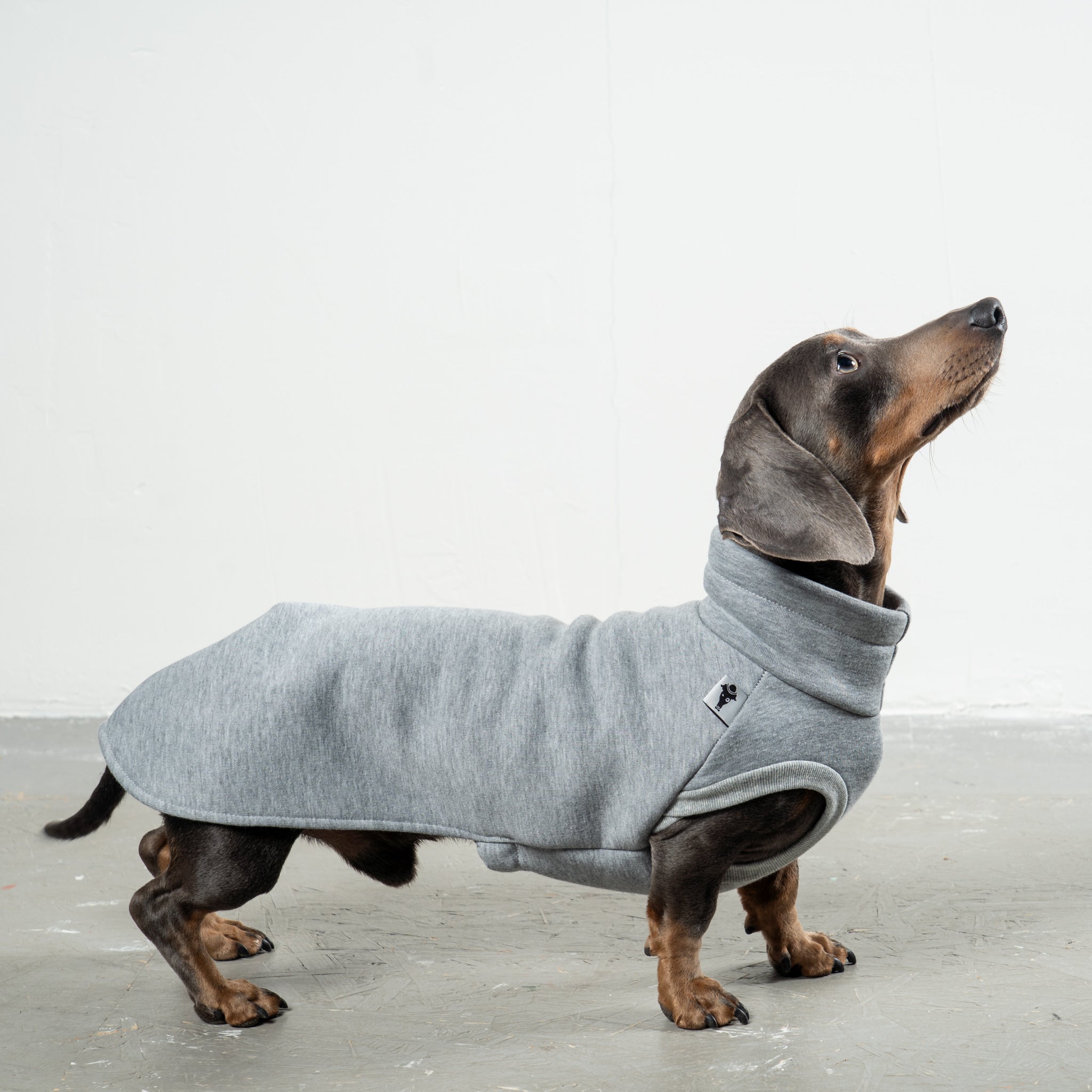 SWEAT SHIRT Dachshund Grey Melange