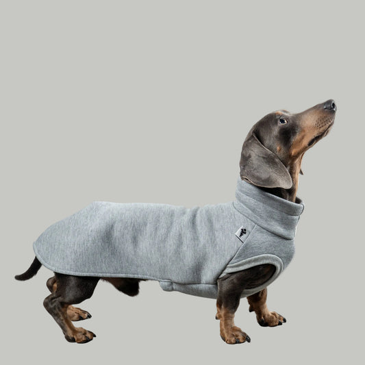 SWEAT SHIRT Dachshund Grey Melange