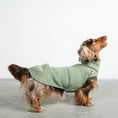 Load image into Gallery viewer, Sweat Shirt Dackel Matcha – Hundepullover und Hundekleidung für Dackel und Windhunde – Seitenansicht am Hund
