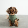 Load image into Gallery viewer, Sweat Shirt Dackel Matcha – Detailaufnahme Stoff und hochwertige Verarbeitung – Karma Hund Berlin
