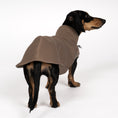 Load image into Gallery viewer, SWEAT SHIRT Dachshund Mokka

