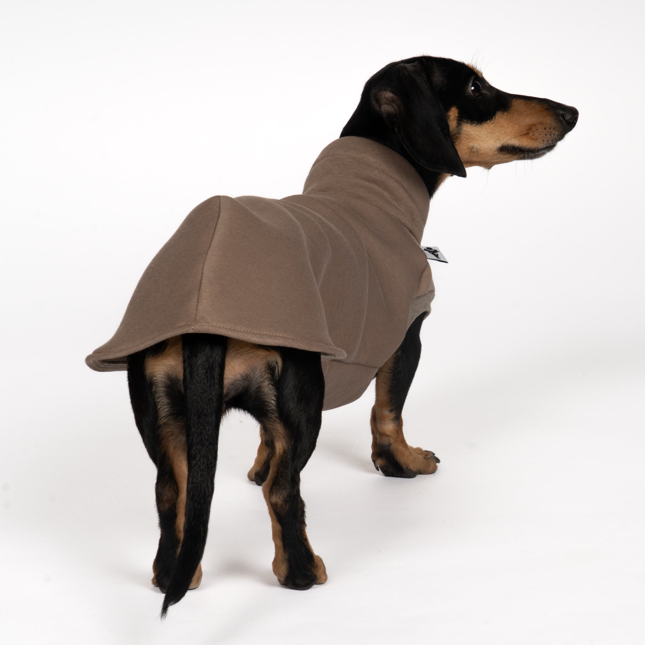 SWEAT SHIRT Dachshund Mokka