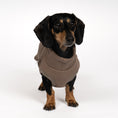 Load image into Gallery viewer, SWEAT SHIRT Dachshund Mokka
