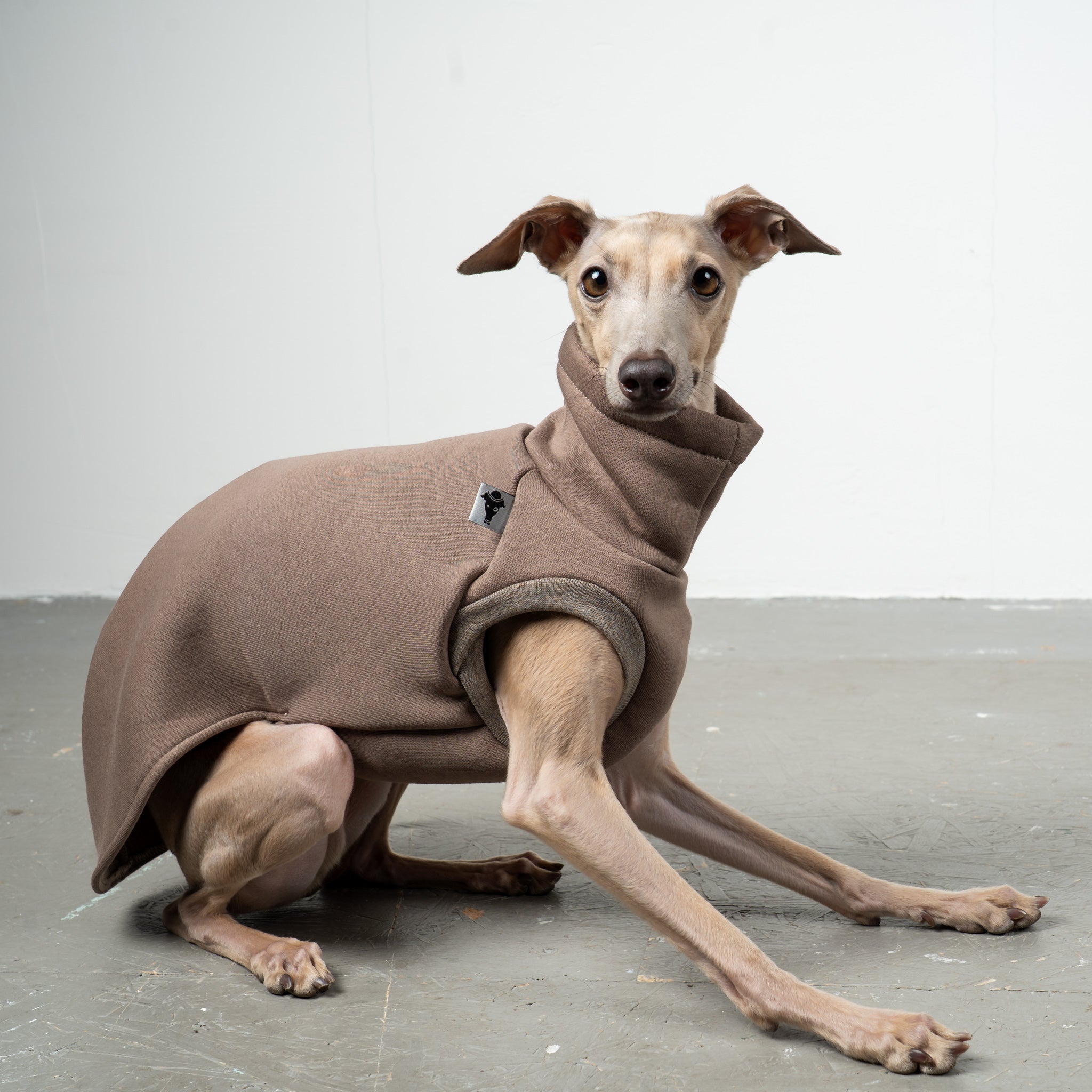 SWEAT SHIRT Iggy Mokka