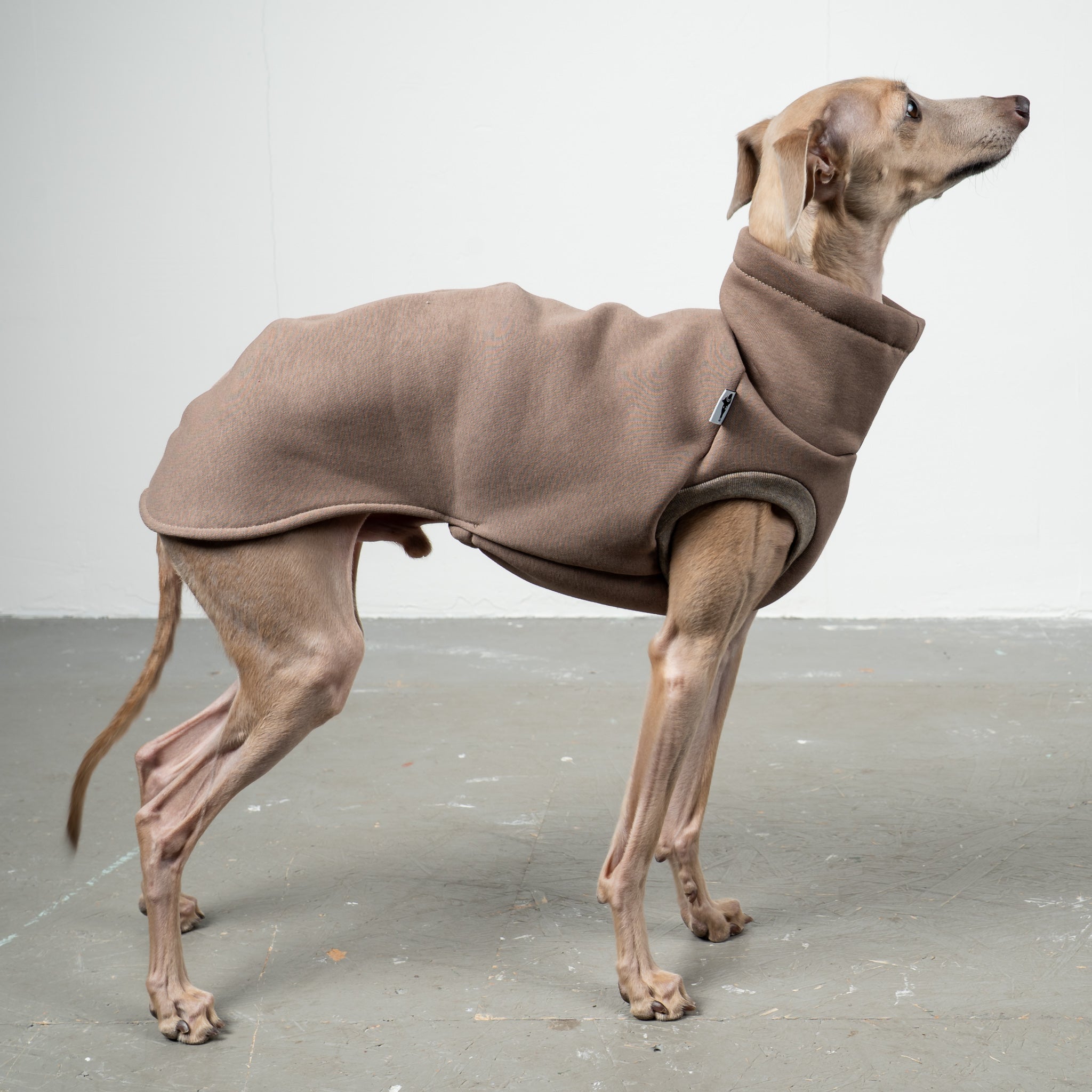 SWEAT SHIRT Iggy Mokka