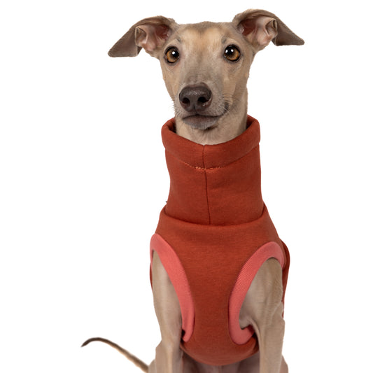 Sweat Shirt Iggy Terracotta – optimale Passform für Windhunde, Windspiele und Dackel