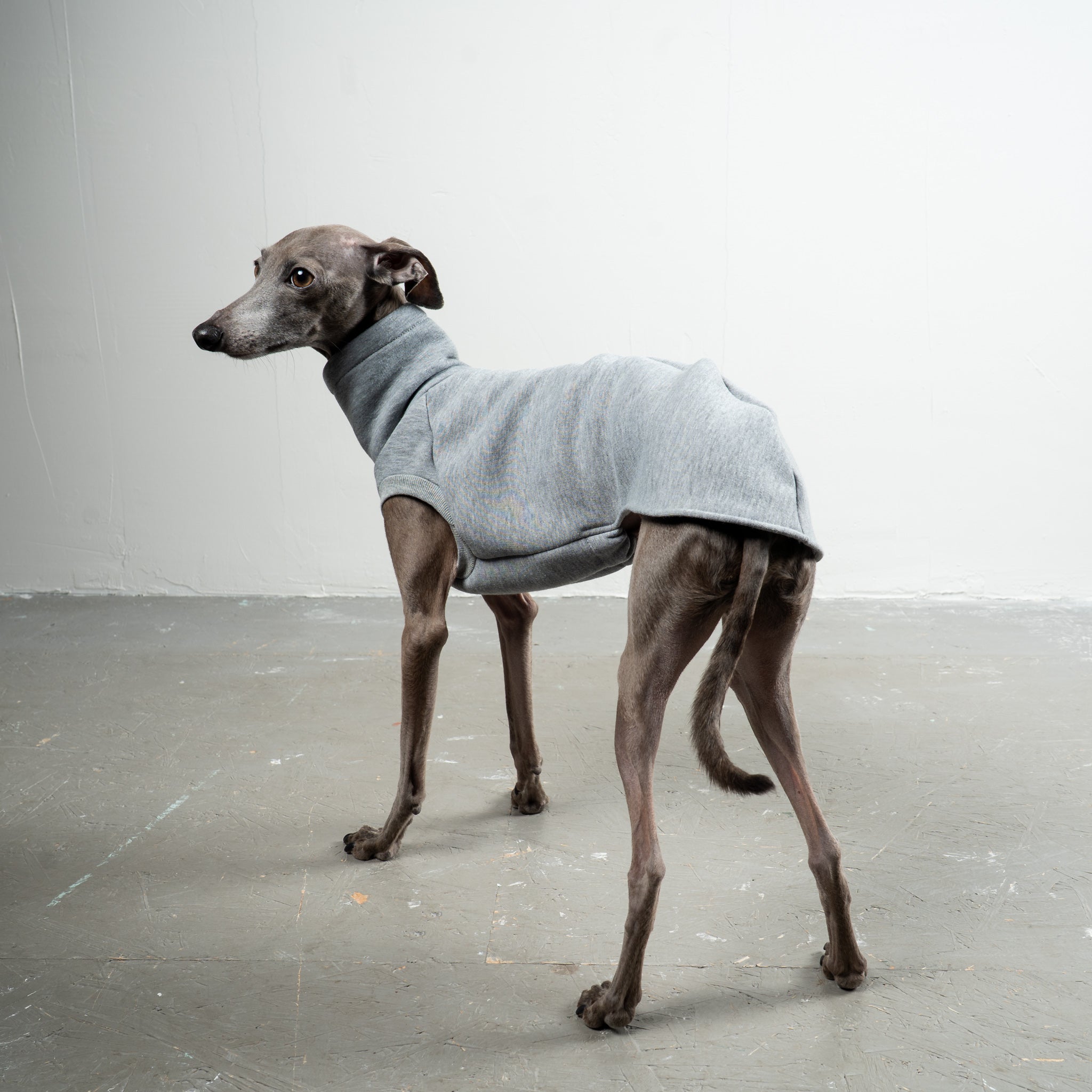 SWEAT SHIRT Iggy Grey Melange 