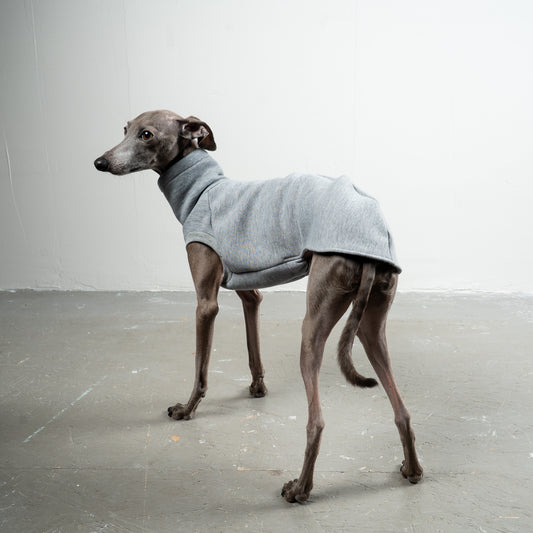SWEAT SHIRT Iggy Grey Melange 