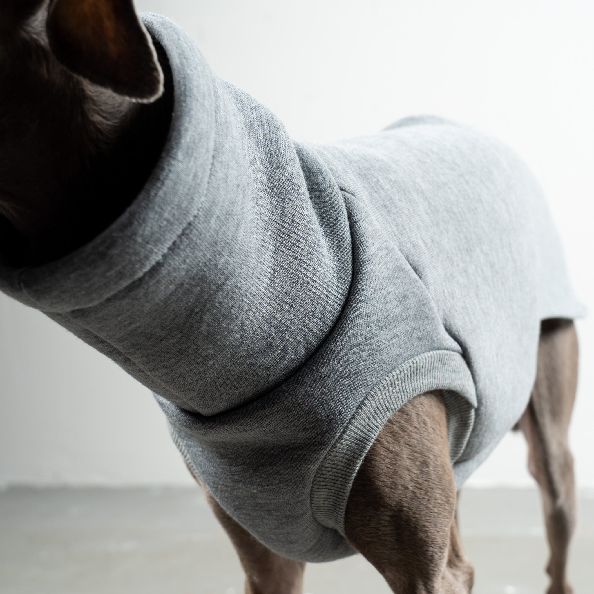 SWEAT SHIRT Iggy Grey Melange 