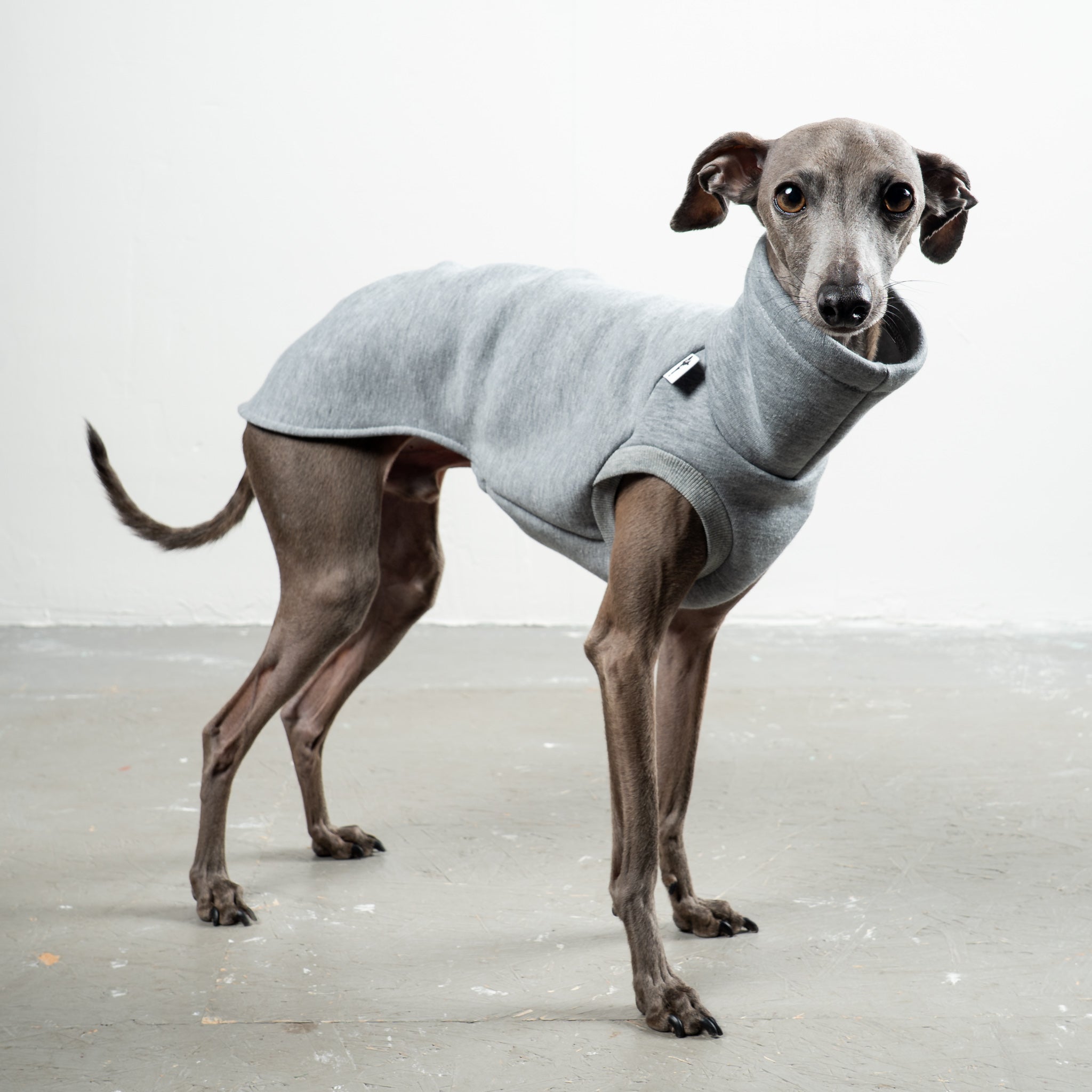 SWEAT SHIRT Iggy Grey Melange 