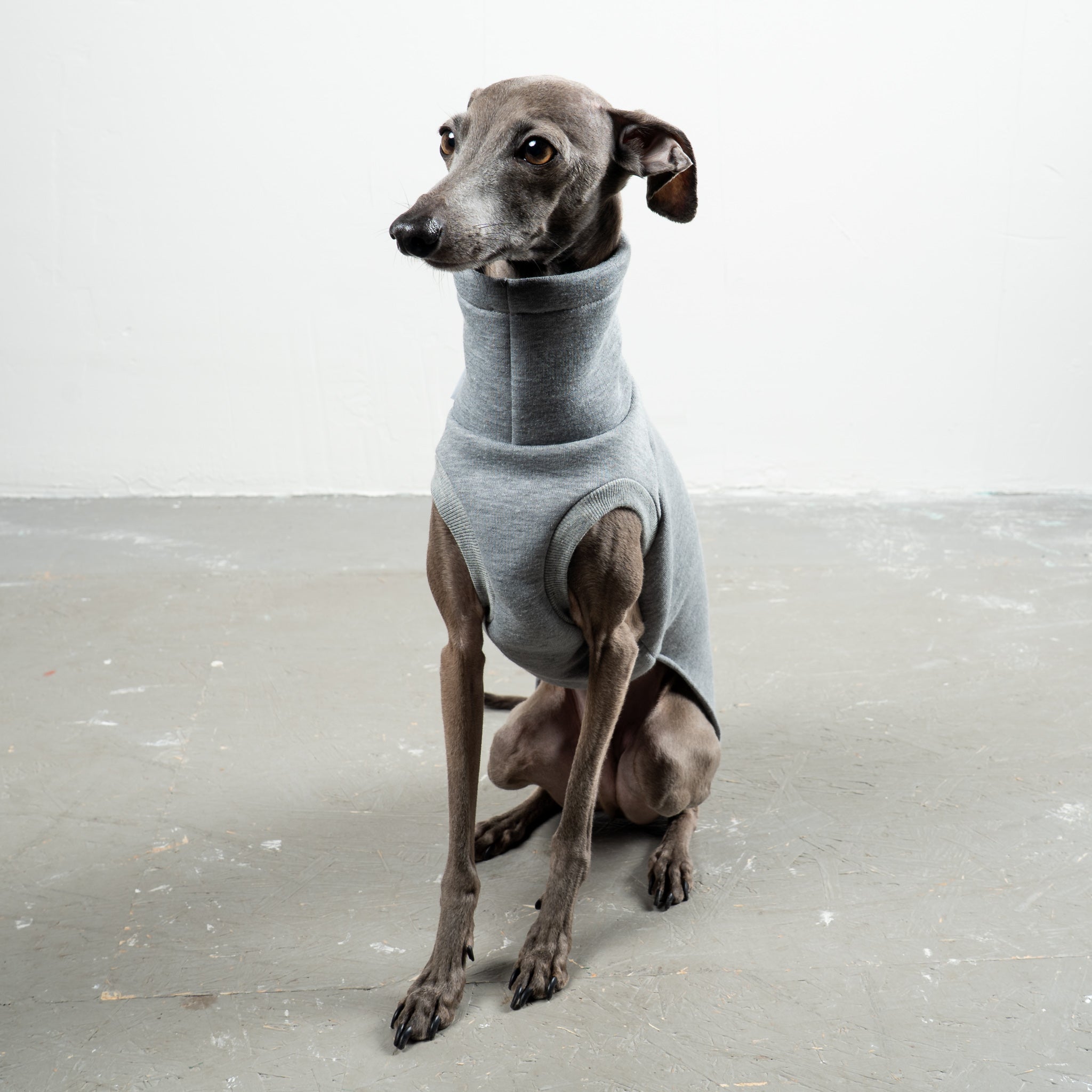 SWEAT SHIRT Iggy Grey Melange 