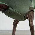Load image into Gallery viewer, SWEAT SHIRT Iggy Matcha
