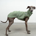Load image into Gallery viewer, SWEAT SHIRT Iggy Matcha
