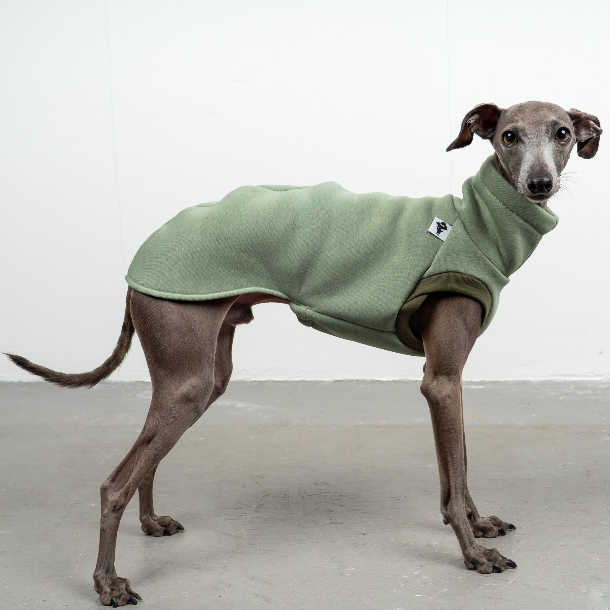 SWEAT SHIRT Iggy Matcha