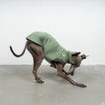 Load image into Gallery viewer, SWEAT SHIRT Iggy Matcha
