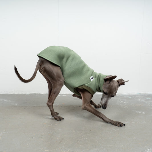 SWEAT SHIRT Iggy Matcha