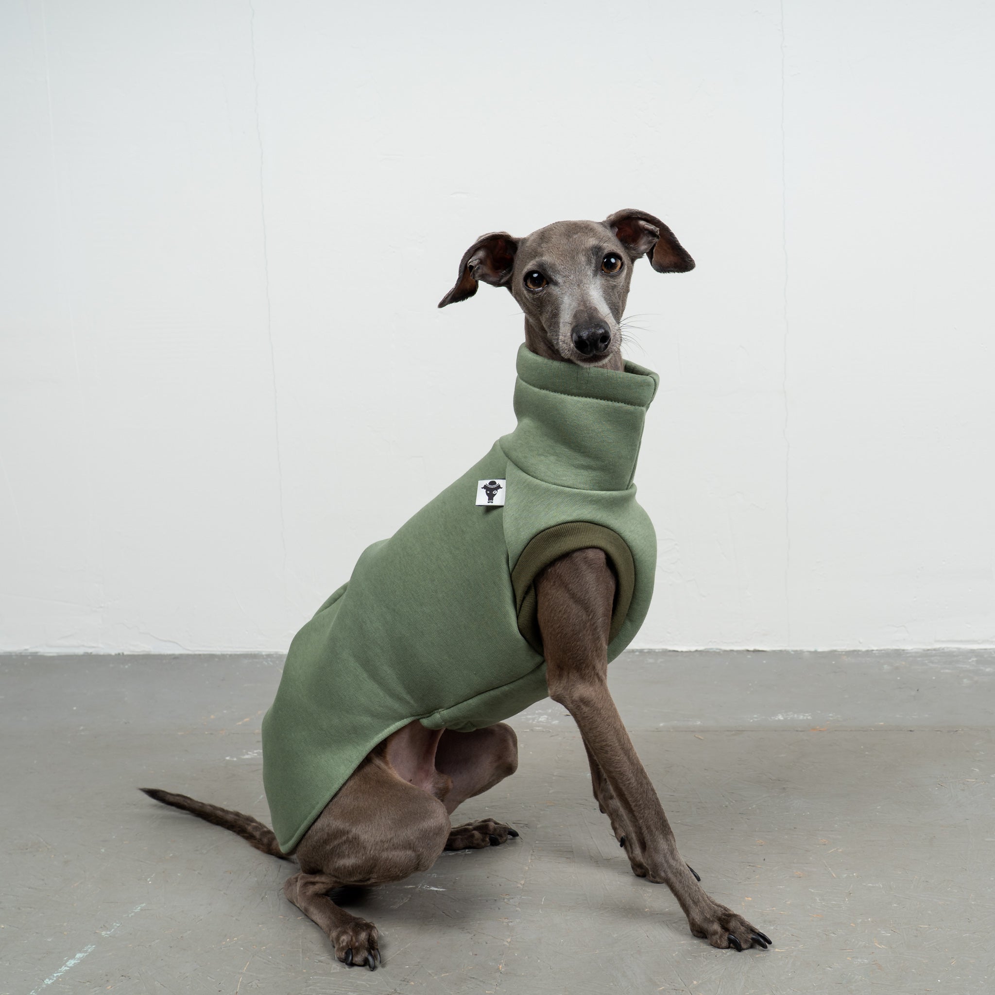 SWEAT SHIRT Iggy Matcha