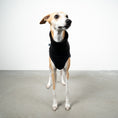 Load image into Gallery viewer, SWEAT SHIRT Sighthound Black 
