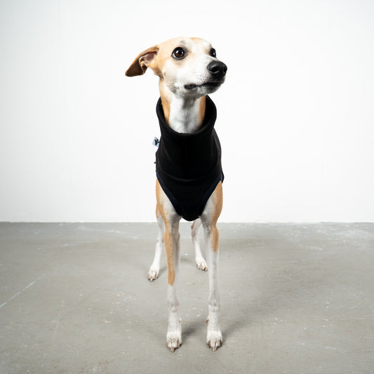 SWEAT SHIRT Sighthound Black 