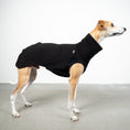 Load image into Gallery viewer, SWEAT SHIRT Sighthound Black 
