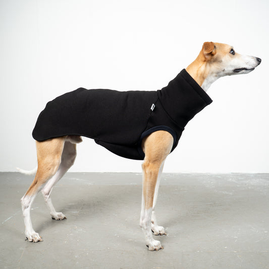 SWEAT SHIRT Sighthound Black 