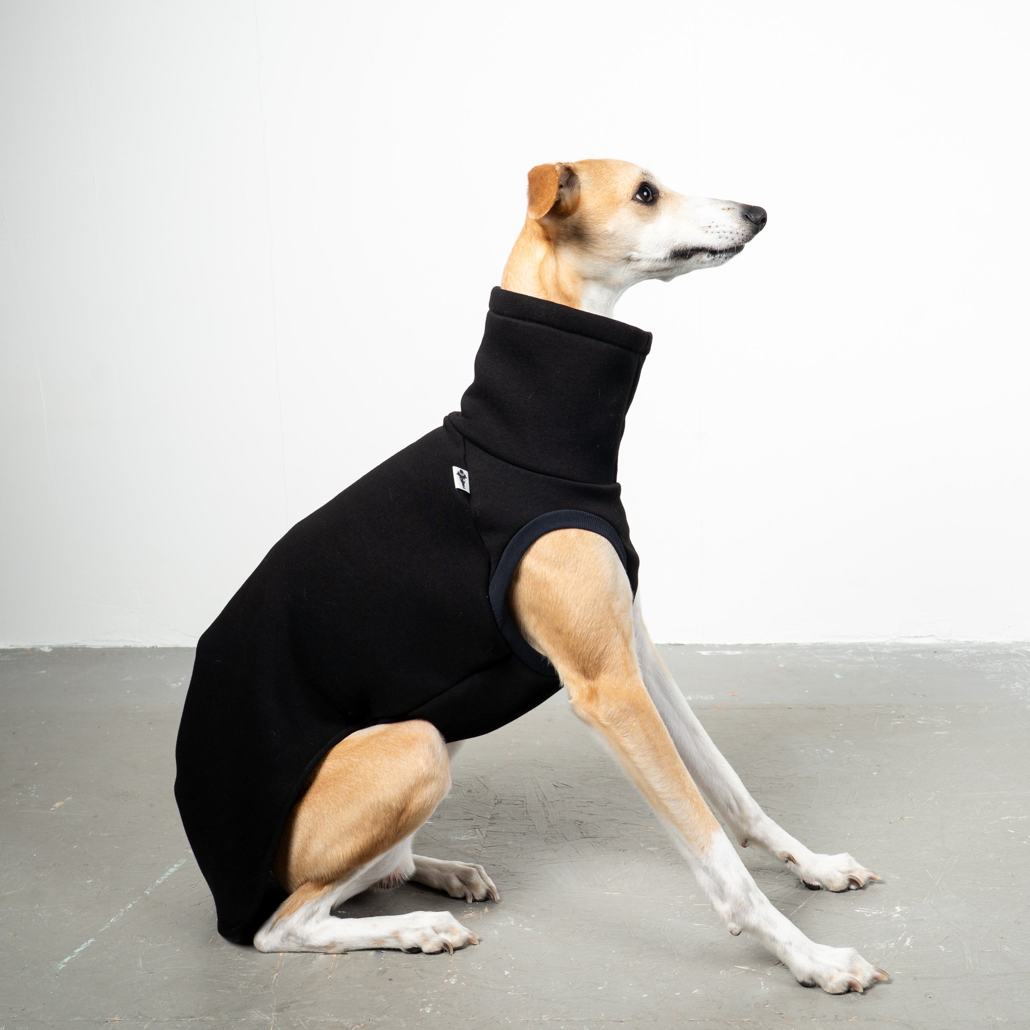 SWEAT SHIRT Sighthound Black 