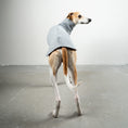 Load image into Gallery viewer, SWEAT SHIRT Sighthound Grey Melange
