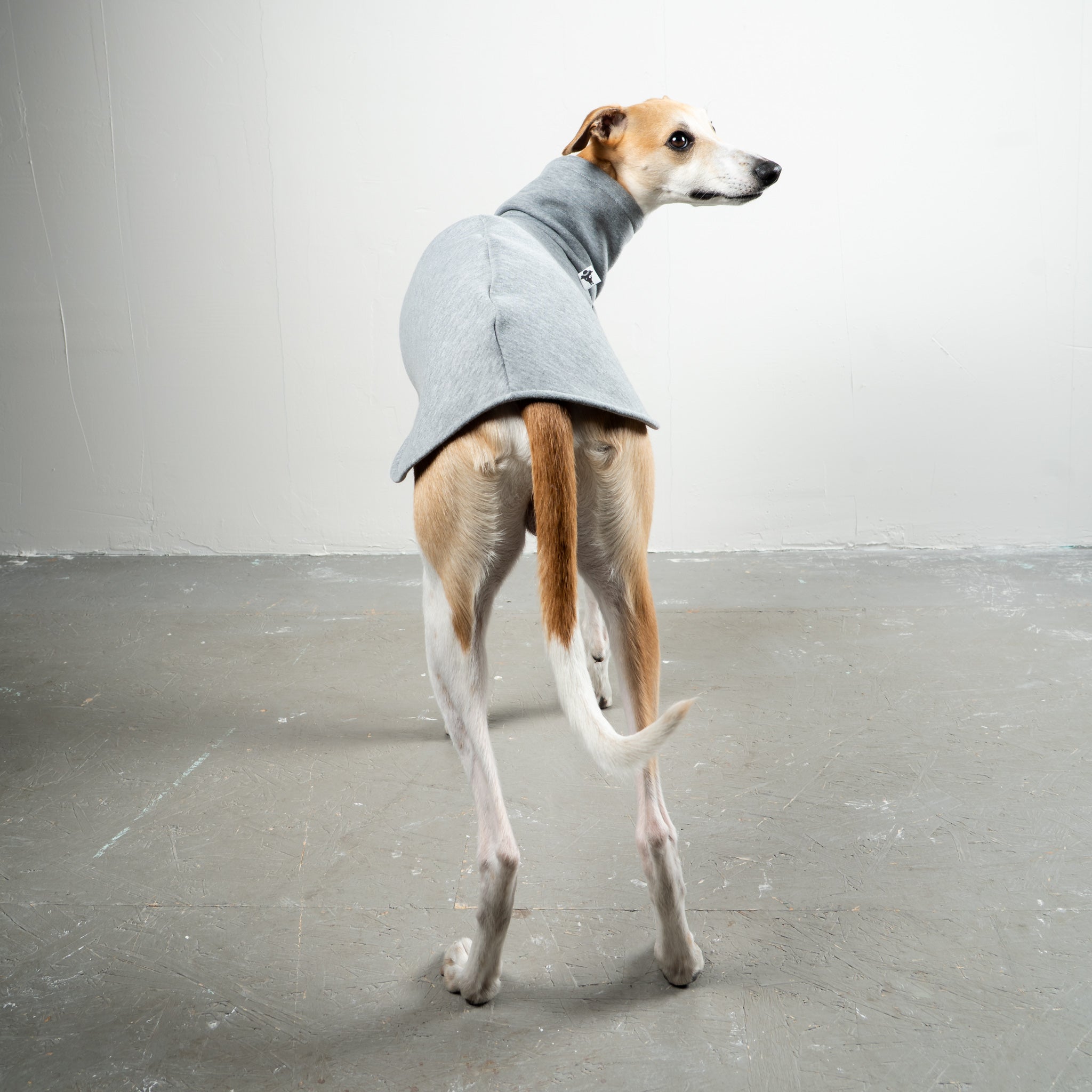 SWEAT SHIRT Sighthound Grey Melange