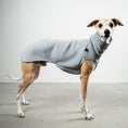 Load image into Gallery viewer, SWEAT SHIRT Sighthound Grey Melange
