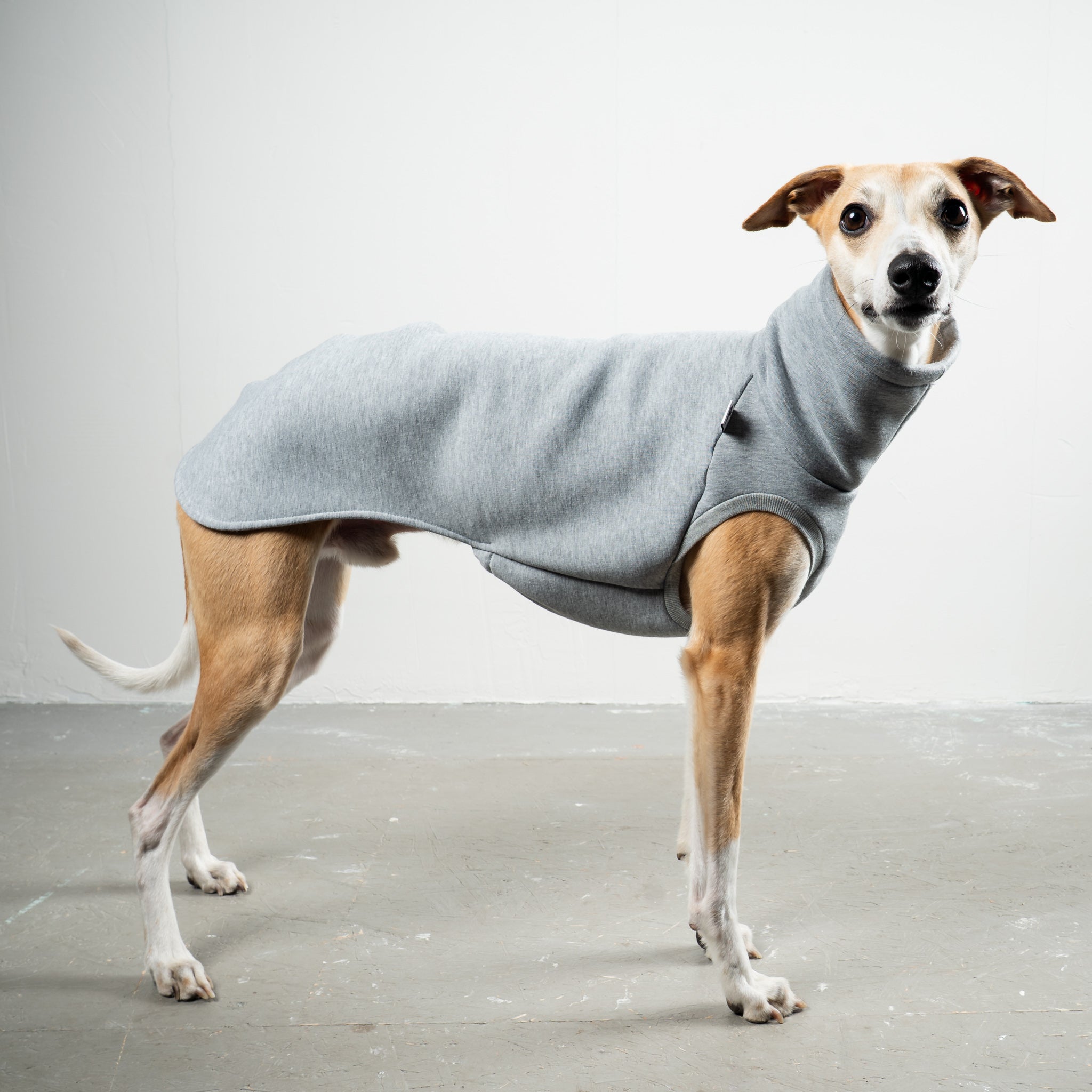 SWEAT SHIRT Sighthound Grey Melange