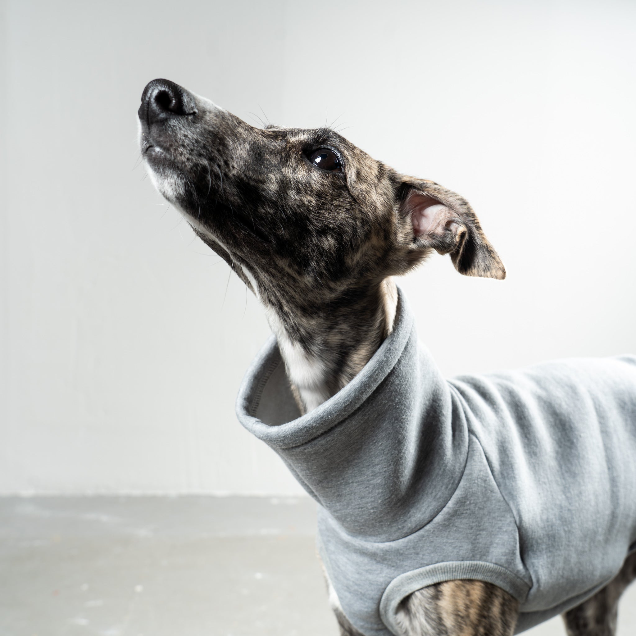 SWEAT SHIRT Sighthound Grey Melange