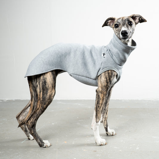 SWEAT SHIRT Sighthound Grey Melange