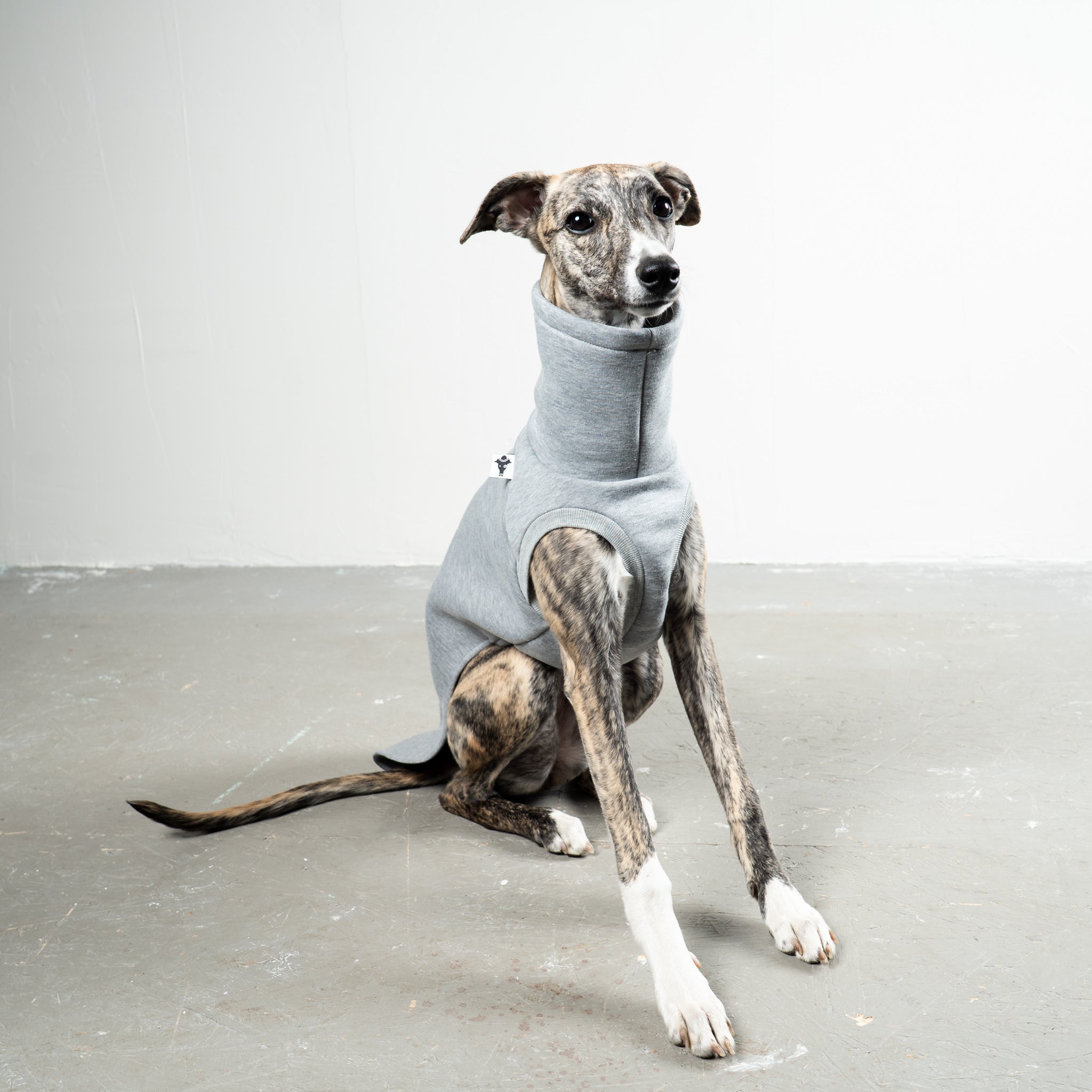 SWEAT SHIRT Sighthound Grey Melange