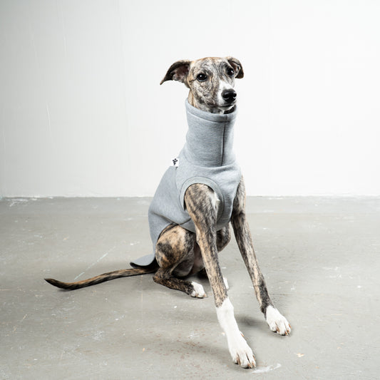SWEAT SHIRT Sighthound Grey Melange