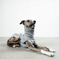 Load image into Gallery viewer, SWEAT SHIRT Sighthound Grey Melange
