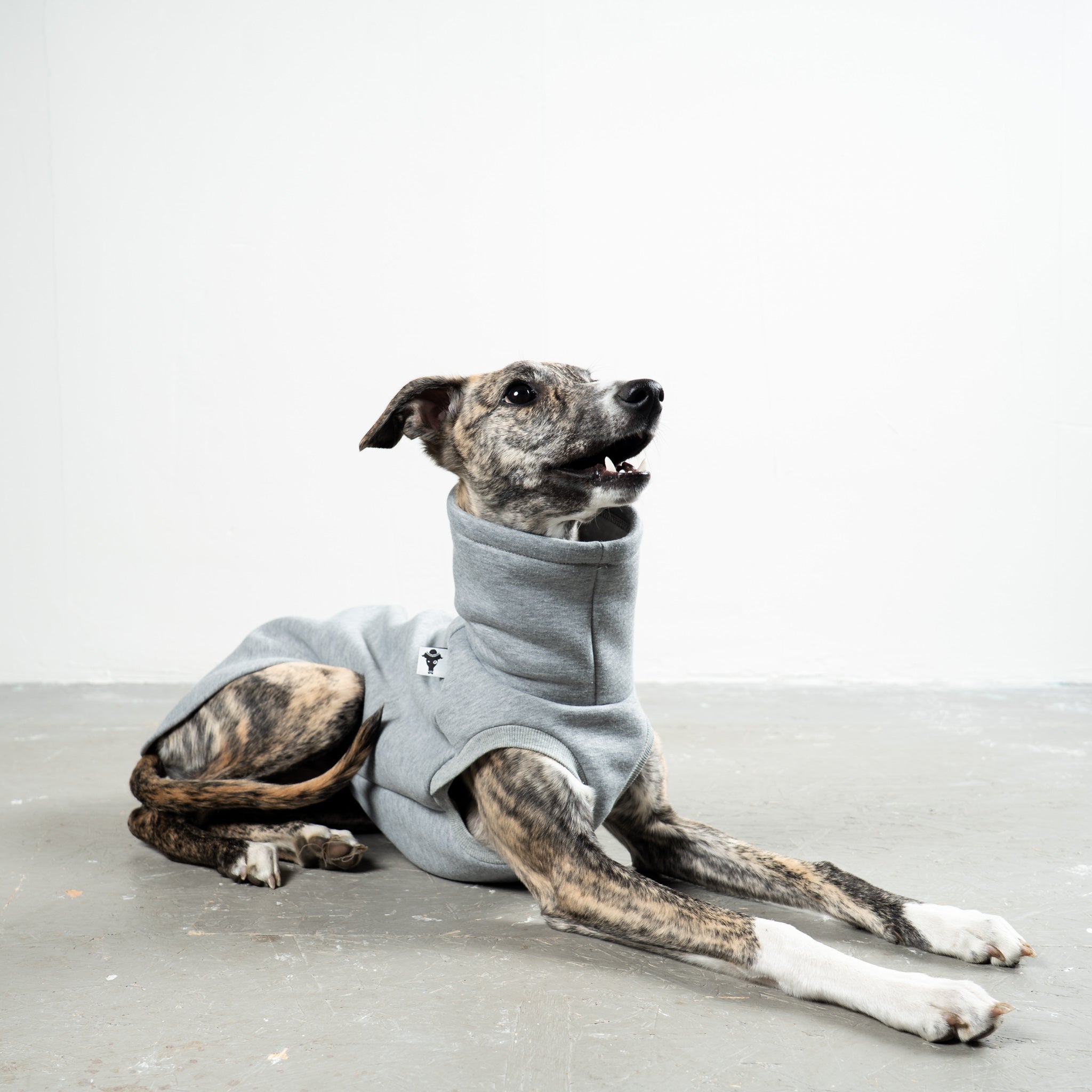 SWEAT SHIRT Sighthound Grey Melange